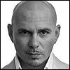 Pitbull Pitbull