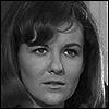 Shelley Fabares Shelley Fabares
