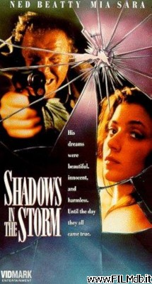 Poster of movie Shadows in the Storm