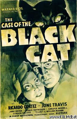 poster Cartel de la pelicula Il mistero del gatto grigio