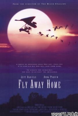 poster Affiche de film l'incredibile volo
