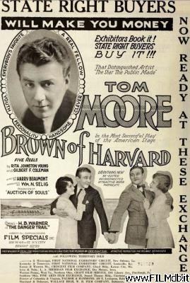 poster Affiche de film brown of harvard