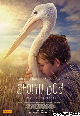 Locandina del film Storm Boy - Il ragazzo che sapeva volare
