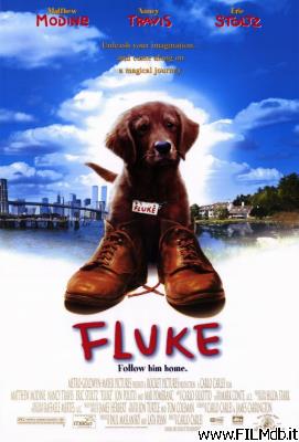 Affiche de film fluke