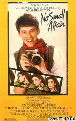 poster Affiche de film una cotta importante