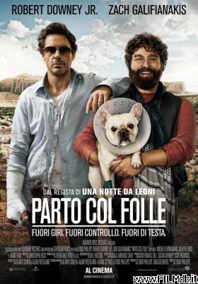 Locandina del film parto col folle