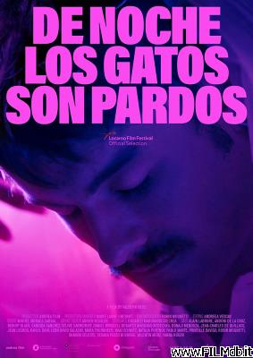 Cartel de la pelicula De noche los gatos son pardos