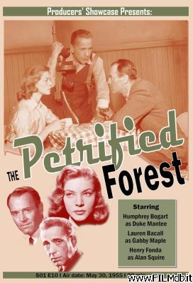 Poster of movie The Petrified Forest [filmTV]