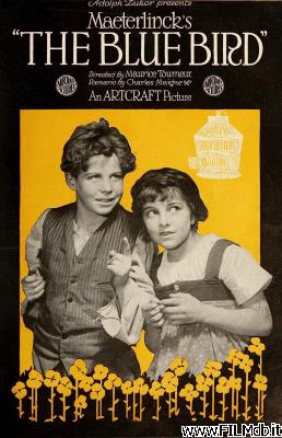 Locandina del film L'uccello blu