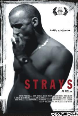 poster Affiche de film strays