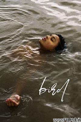 poster Locandina del film Bird