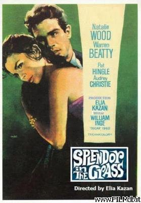 Affiche de film La Fièvre dans le sang