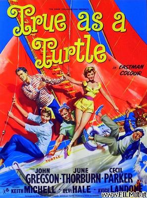 poster Poster of movie True as a Turtle