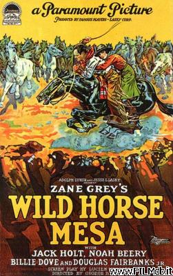 poster Poster of movie Wild Horse Mesa
