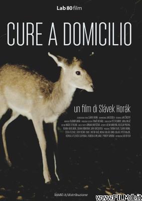 Cartel de la pelicula cure a domicilio