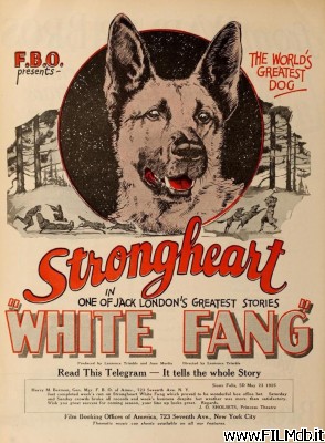 Poster of movie White Fang