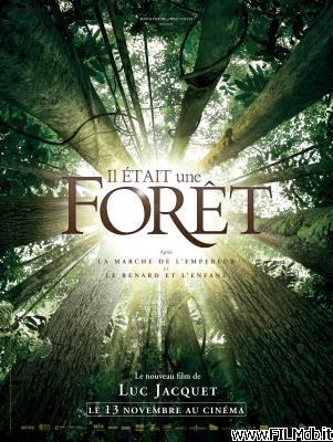 poster Poster of movie Il était une forêt