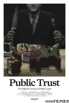 poster Affiche de film Public Trust