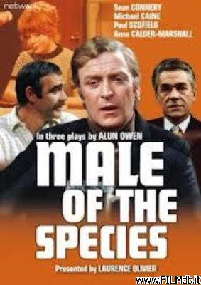 poster Cartel de la pelicula MacNeil