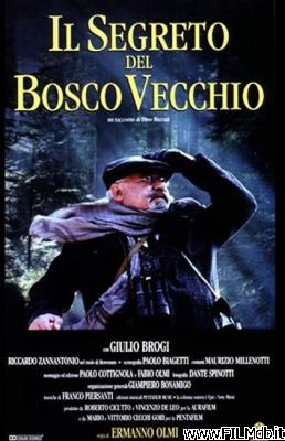 Locandina del film Il segreto del Bosco Vecchio