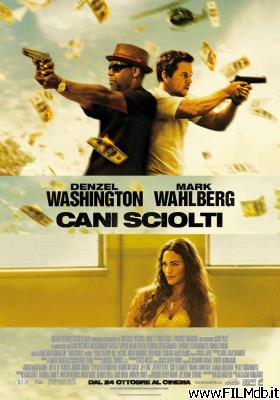 poster Affiche de film cani sciolti