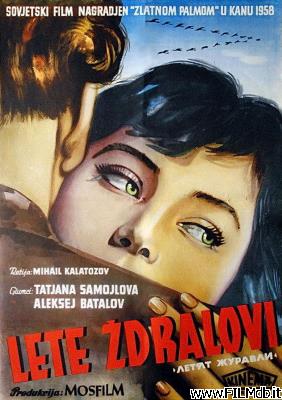 Affiche de film Quand passent les cigognes