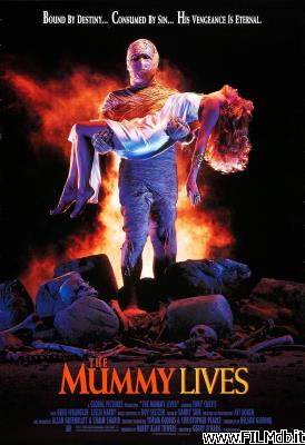 poster Affiche de film La Momie