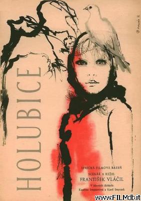 Poster of movie The White Dove