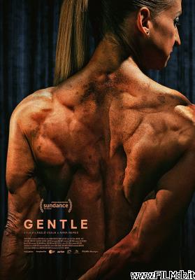 poster Affiche de film Szelíd