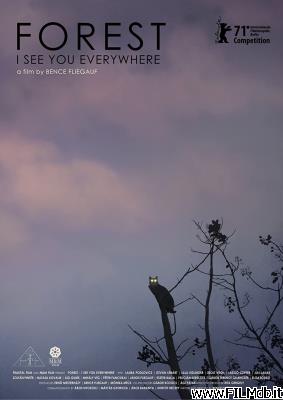 poster Poster of movie Forest: I See You Everywhere