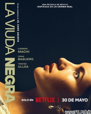 Poster of movie A Widow's Game