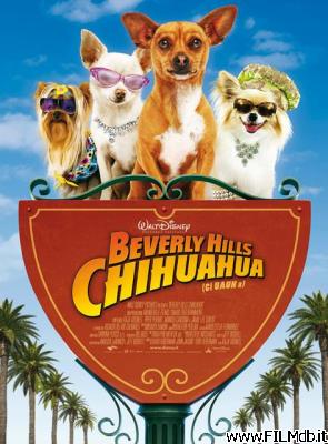 poster Poster of movie beverly hills chihuahua