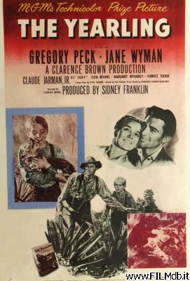 poster Affiche de film il cucciolo