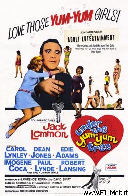 poster Affiche de film Oui ou non avant le mariage?