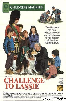 poster Affiche de film il ritorno di lassie