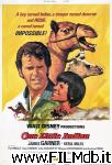 poster del film un piccolo indiano