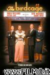 poster del film Piume di struzzo