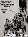 poster Wild Winship's Widow poster del film Wild Winship's Widow