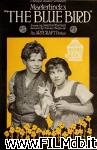 poster del film L'uccello blu
