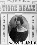 poster Tigre reale poster del film Tigre reale