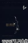 poster bird poster del film bird