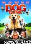 poster dog gone poster del film dog gone