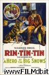 poster del film Rin-Tin-Tin en détresse