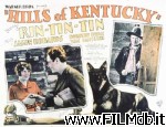 poster del film Hills of Kentucky