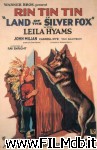poster del film Land of the Silver Fox