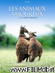 poster del film Les animaux amoureux