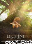poster del film La quercia e i suoi abitanti