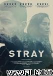poster Stray poster del film Stray
