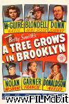 poster un albero cresce a brooklyn poster del film un albero cresce a brooklyn