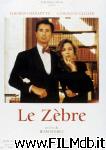 poster del film le zèbre